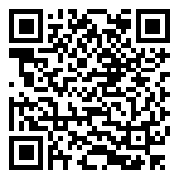 Детские игровые залы и площадки QR code