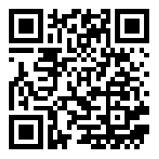 12 storeez QR code